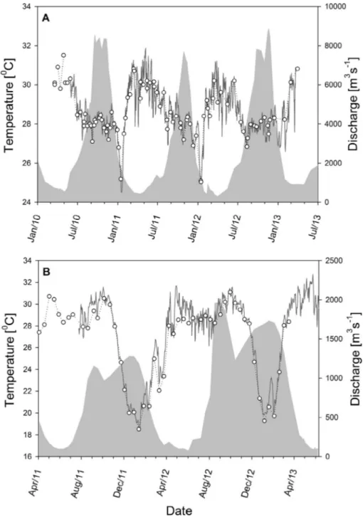 Fig. 3. Daily discharge (grey-shaded area) plotted with water temperature variations in (A) the Oubangui River at Bangui, and (B) the Niger River at Niamey