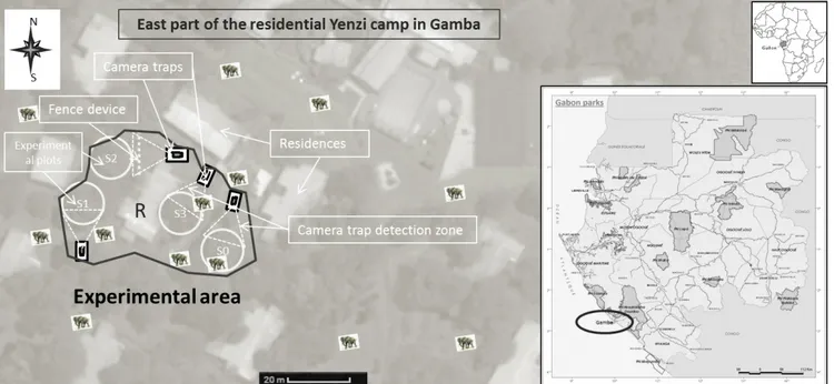 Fig. 1. Schematic view of the experimental site in the residential Yenzi Camp in Gamba
