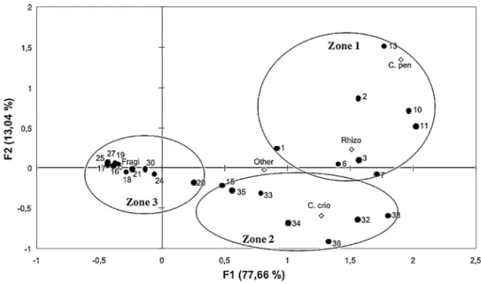 Table 2 Nutrients (lM), Chl a (lg l -1 ), microplankton (cells l -1 ) and Shannon–Weaver diversity index H 0 in Terre Ade´lie and Georges V Land surface waters (5 m depth) (average ± SD, maximum–minimum)