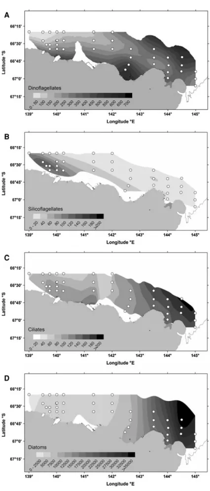 Fig. 5 Microplankton abundances (cells l -1 ) at 5 m depth. a dinoflagellates, b silicoflagellates, c ciliates, d diatoms