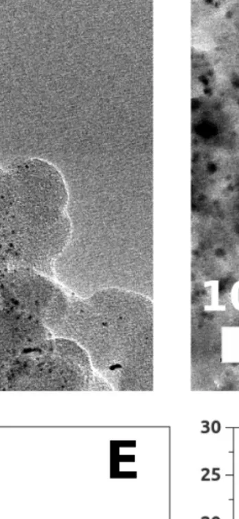 Figure 1.7: TEM images of the anodic catalysts before the fuel cell characterizations: Pt/C (A), Pd/C (B) and after the fuel cell characterizations: Pt/C (C), Pd/C (D)