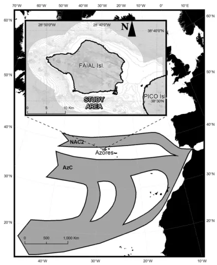 Figure 1 - Location of Faial Island within the general geostrophic surface transport showing North  Atlantic Current southern branch (NAC2 ) and the Azores current (AzC) (Adapted by 