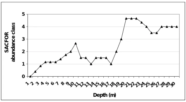 Figure 12 - Depth distribution of averaged SACFOR abundance class of Codium elisabethae around the  coasts of Faial and Pico islands (Tempera, personal communication)