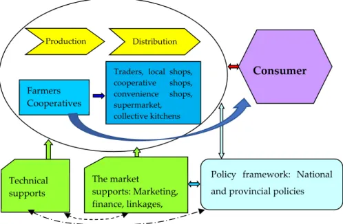 Figure 2. The short food supply chains (SFSCs) in the survey sample in Vietnam. Source: Own  illustration