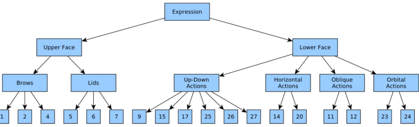 Fig. 1 Our facial expression taxonomy. The leaves (classes) correspond to Action Units