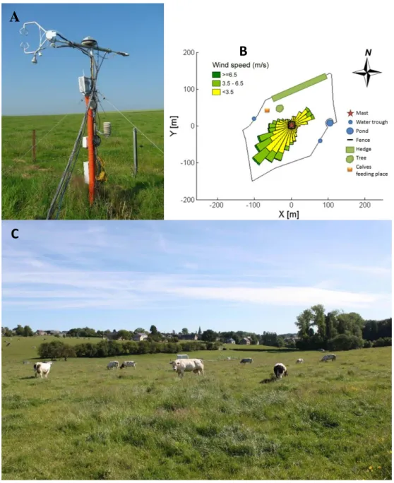 Figure 1-5: Measurement mast with sonic anemometer and sampling tube (A),  schematic view of the pasture with main wind directions and velocities overlaid on the mast 