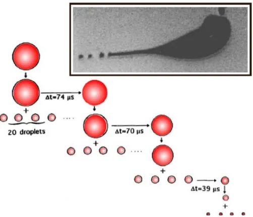 Figure 2-2.  Droplet evolution scheme due to solvent evaporation at constant charge and Coulomb fissions at the Rayleigh limit (adapted from reference 5).