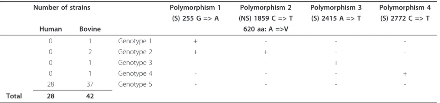 Table 2 tir b gene polymorphism (aa: amino acid, A: alanine, S: serine, T: threonine, K: lysine, E: glutamic acid) Number of strains Polymorphism