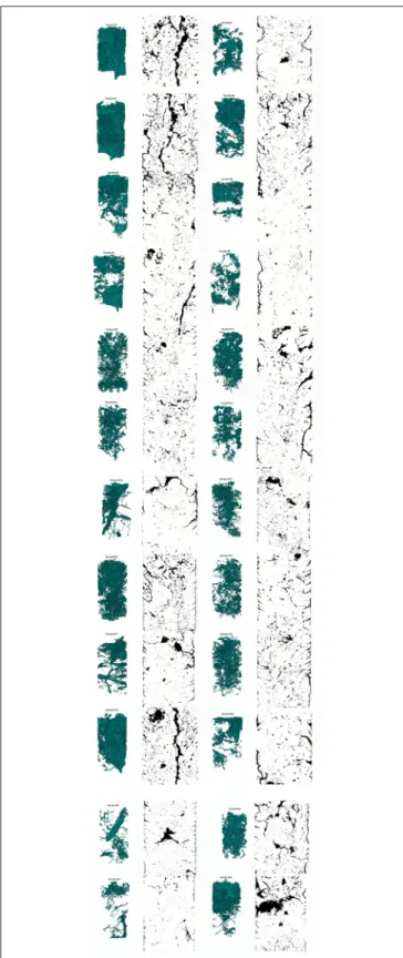 FIGURE 1 | 3D and 2D representations of the 24 studied soil samples.