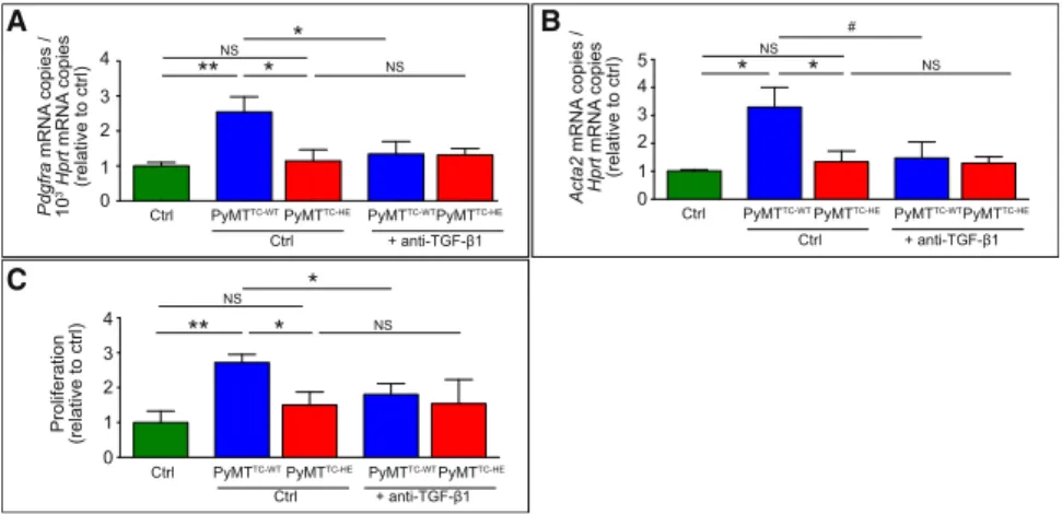 Figure 6. Differentiation of Normal Fibro- Fibro-blasts