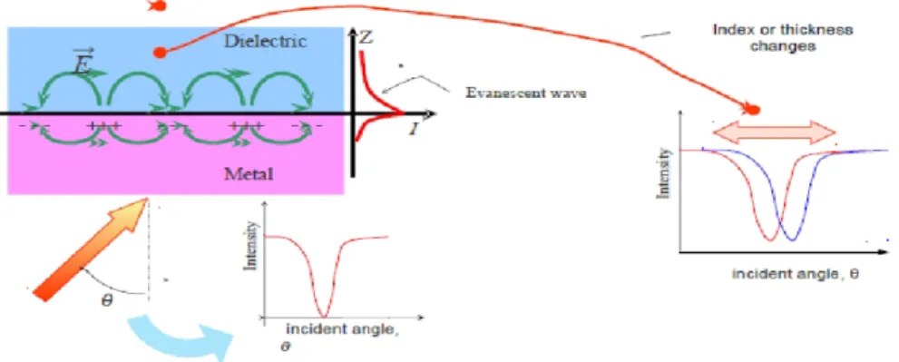 Figure 1: Scheme of the Surface Plasmon Resonance effect.
