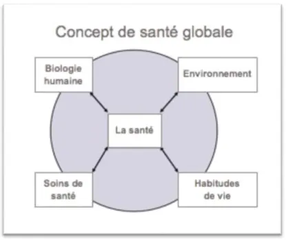 Figure 1 : Concept de santé globale, rapport Lalonde (1974), source : carouver.com                                                                        