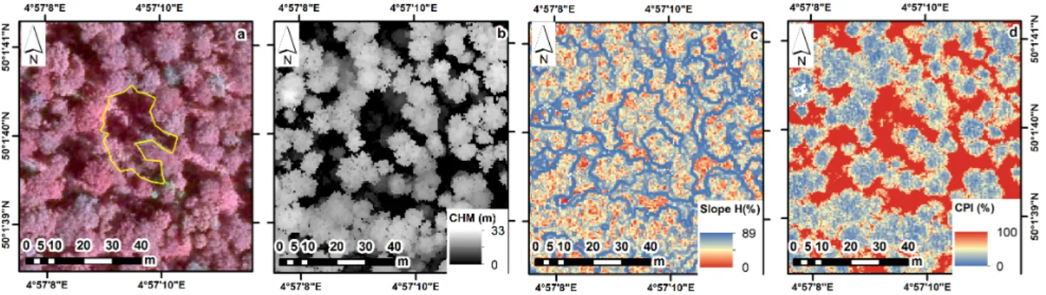 Figure 2. Metrics are produced from the raw airborne laser scanning (ALS) data. The yellow polygon corresponds to a field mapped gap over an infrared aerial image (a); The Canopy Height Model (CHM, (b)), the slope of the CHM (Slope-H, (c)) and the Canopy P