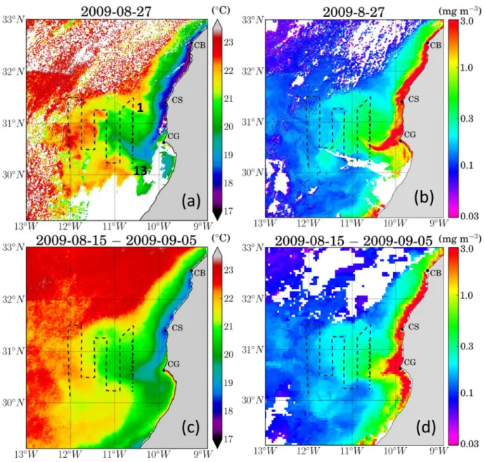 Figure 2. (top) Selected day and (bottom) averaged (left) SST and (right) chlorophyll a ﬁelds as obtained from remote sensed data