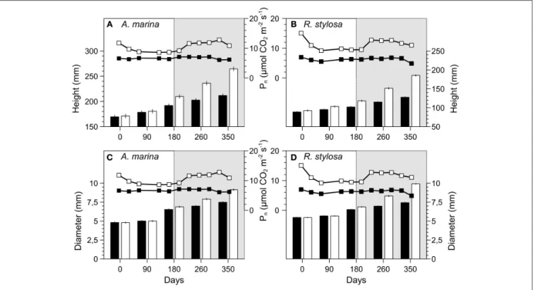 FIGURE 4 | Heights (mm), diameters (mm) and photosynthesis (µmol CO 2 m − 2 s − 1 ) of A