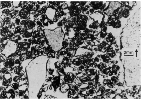 Figure 8.  Gelifluction fabric in a stony sandy loam; surface horizon of an active gelifluction lobe (Autre Lovenbreen morainic arc, Ny  Alesund, Northwestern Spitzberg)