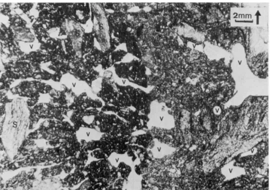 Figure  9.  Field experiment in small sorted polygons (Chambeyron, Southern French Alps)