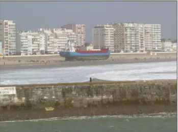 Figure  22  :  Echouage  de  l'Artemis  sur  La  Grande  Plage le 10 mars 2008 vu depuis La Chaume (cliché :  J