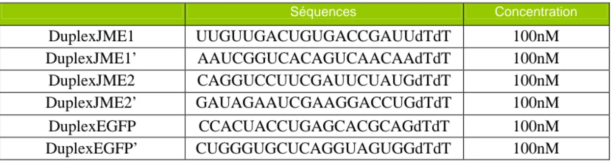 Tableau 3: Séquences des duplex de siRNA dirigés contre les protéines EFHC1 et EGFP.