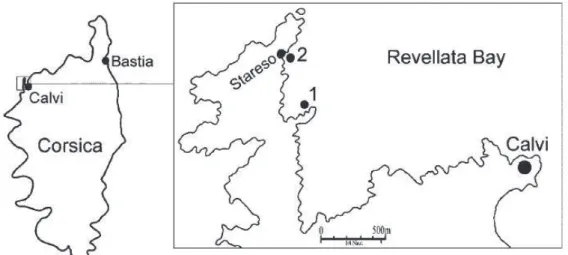 Figure 5 :  Carte représentant  la  situation de Calvi  en  Corse (à gauche) et à droite  le détail de  la  situation   pointe  de  la  Revellata  par  rapport  à  Calvi