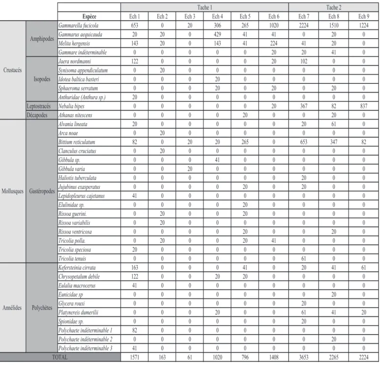 Tableau 1 : détail des compositions faunistiques des différents échantillons prélevés