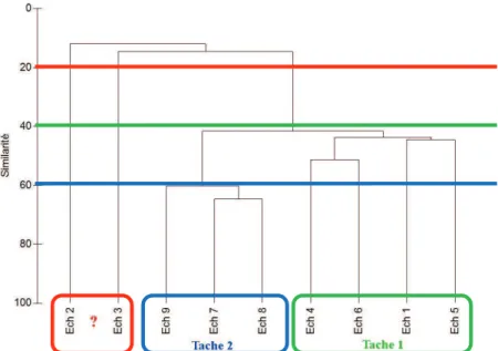 Figure  8:  dendrogramme  obtenu  suite  à  l’analyse  de  clustering  agglomératif  hiérarchisé  réalisé  sur  les  données  brutes