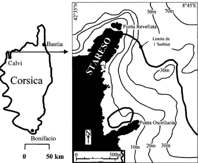 Figure 4.1 : A gauche, situation générale de la Baie de Calvi. A droite, agrandissement de la partie de la baie  où est installée la STAtion de REcherches Sous-marines et Océanographiques (STARESO)