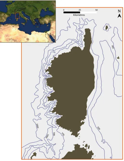 Figure II.1. Localisation de la Corse et dissymétrie verticale de sa bathymétrie. D’après la carte SHOM 7025,  1/1 000 000, Méditerranée occidentale, 1987 (photo Bassin Méditerranéen, source internet)