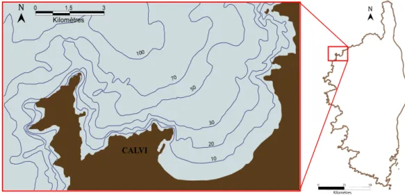 Figure II.2. Localisation et bathymétrie de la Baie de Calvi (d’après la carte SHOM 7050)