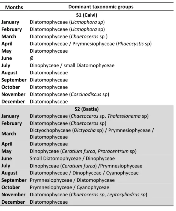 Table V.2. Spatio-temporal characterization of phytoplankton communities in S1 and S2 stations   (Ø no dominant taxonomic groups)