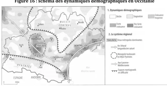 Figure 16 : schéma des dynamiques démographiques en Occitanie 
