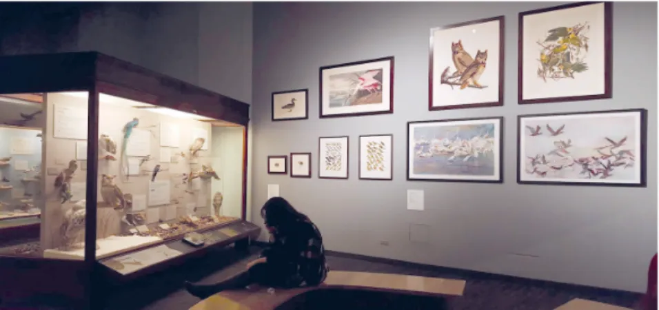 Fig. 5. Artists’ Corner” in the updated Ronald and Christina Gidwitz Hall of  Birds in 2012 (Photo: Y