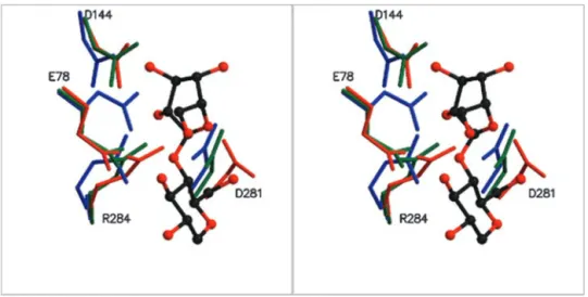 Fig. 6A shows some important interactions and distances between the different residues in the catalytic site of pXyl