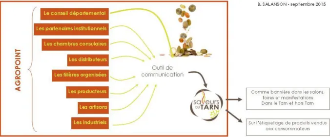 Figure  6  :  la  gestion  de  Saveurs  du  TARN,  un  système  centré  sur  AGROPOINT,  des  consommateurs  perçus  comme  des  externalités