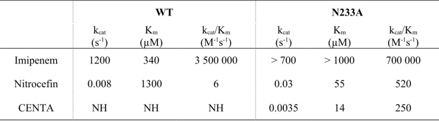 Table   3.  Kinetic   parameters   of   the   wild-type   and   N233A   CphA   enzymes