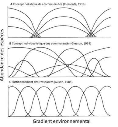 Figure  2.  Evolution  des  concepts  de  l’organisation  des  niches  écologiques  des  espèces  au  sein  d’une  communauté  végétale