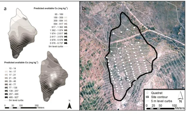 Figure 1. Predicted copper and cobalt concentrations on one copper hill, Fungurume V (a) and the location of the  performed sampling plots (b)