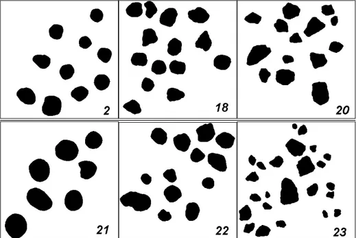 Figure 1. Images indicatives des différentes qualités d’engrais utilisées pour l’analyse