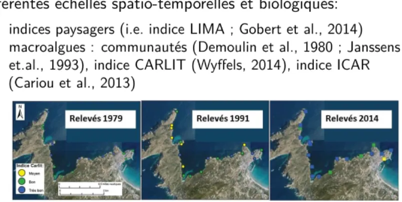 Figure 1: Evolution du statut écologique évalué par l’indice CARLIT selon les populations de macroalgues observées en 1979, 1991 et 2014.
