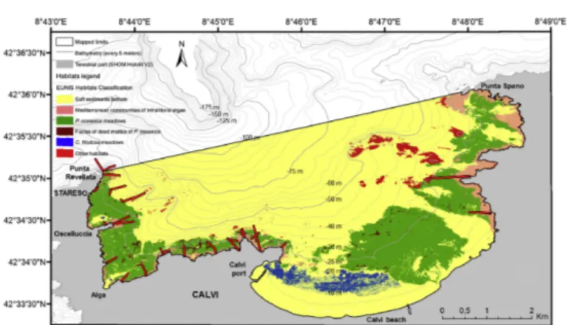 Figure 3: Localisation des transects ROV, adapté de la carte habitats (Abadie 2012).