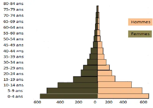 Figure 4. Pyramides des âges de la population kinoise  Source : Auteur à partir du modèle de Lelo  et Nzuzi (2004) 