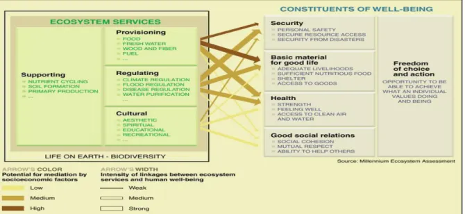Figure 3 : Potentiel socioéconomique des services par rapport aux constituants du bien-être humain d’après le  MEA (2005)