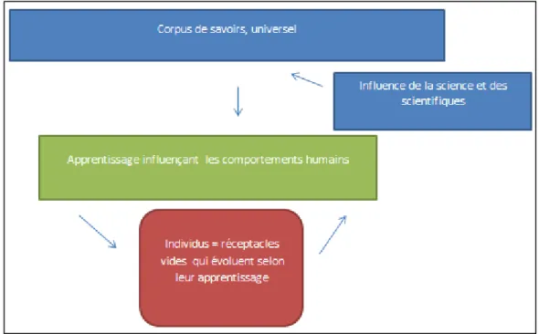 Figure 4 Schéma de l'organisation des connaissances, courant Behavioriste, (Thermes 2017) 