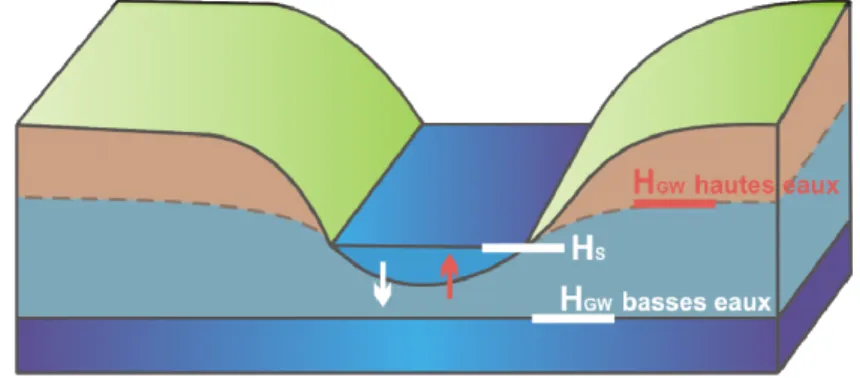 Figure 2-3 : ∆H &gt; 0 la rivière est potentiellement drainante et ∆H &lt; 0 la rivière est potentiellement perdante 