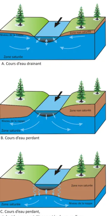 Figure 1-2 : Interactions rivière-nappe : cours d’eau drainant (a), perdant (b) et perdant séparé de la nappe par  zone non saturée (c) (d’après Alley et al