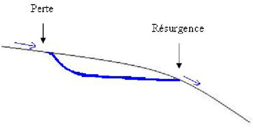 Figure 2-10 : Schéma du système perte/résurgence 