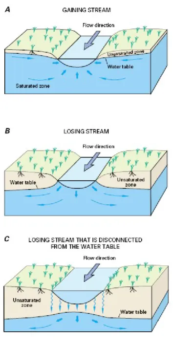 Figure 1-2 : Interactions rivière-nappe : cours d’eau drainant (a), perdant (b) et perdant séparé de la nappe par  une zone non saturée (c) (Alley et al