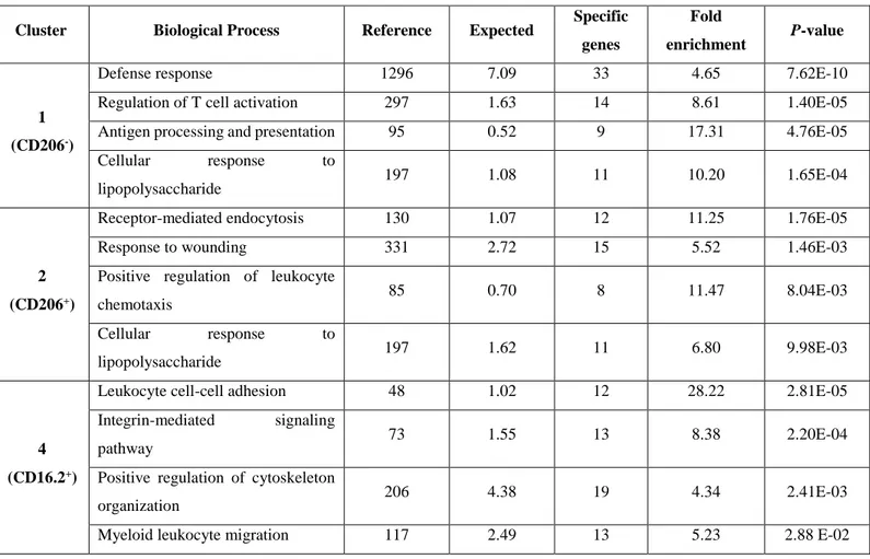 Fig. 5 Functional properties of IM subpopulations at steady-state and dynamic regulation after airway exposure  to microbial products