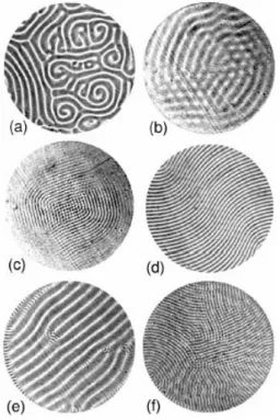 Fig. 2.3  Exemples de motifs dans l'expérience de Rayleigh-Bénard [3].