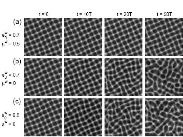 Fig. 4.3  Évolution d'un pattern dans une couche quasi bidimensionnelle : les  uctua-tions autour de la position moyenne sont plus importantes dans le modèle sans frottement ( e = 0.5 , β = −1 , µ = 0 ; sous la ligne pointillé) que dans le modèle avec frot